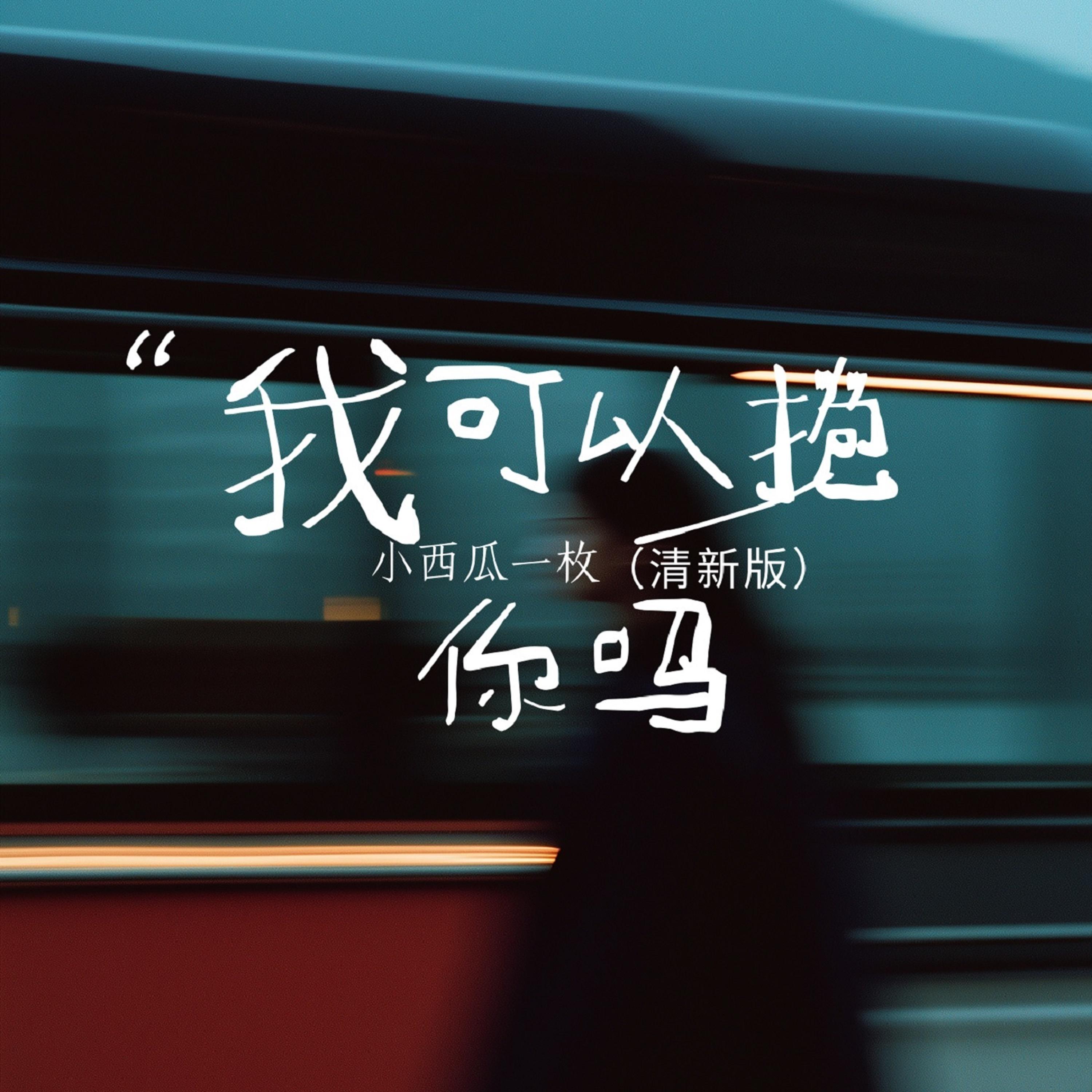 我可以抱你吗 (清新版)封面