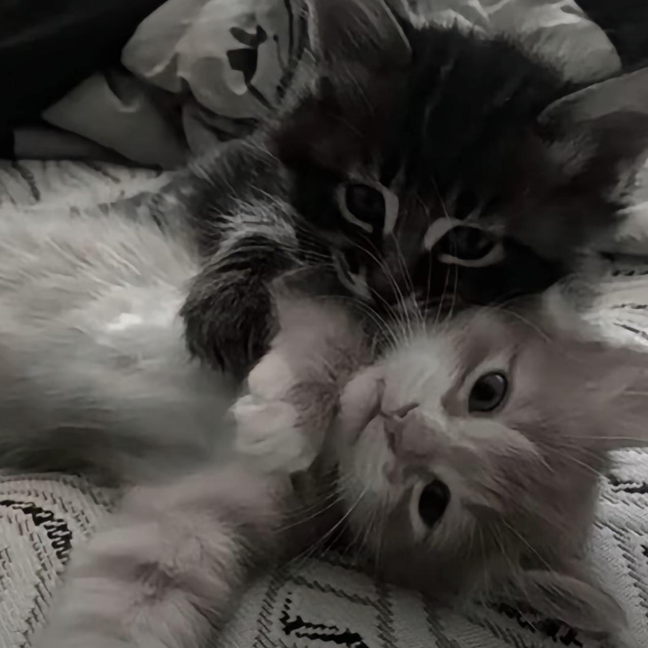 安静休闲音乐的歌单