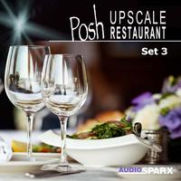 Posh Upscale Restaurant, Set 3