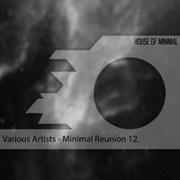 Minimal Reunion 12.