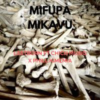 Mifupa Mikavu (feat. chicha Musiq & Phill Kimemia)