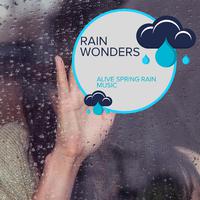 Rain Wonders - Alive Spring Rain Music