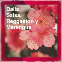 Baila Salsa, Reggaeton y Merengue