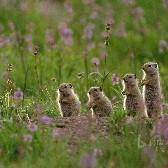 雨露阳光生生不息
