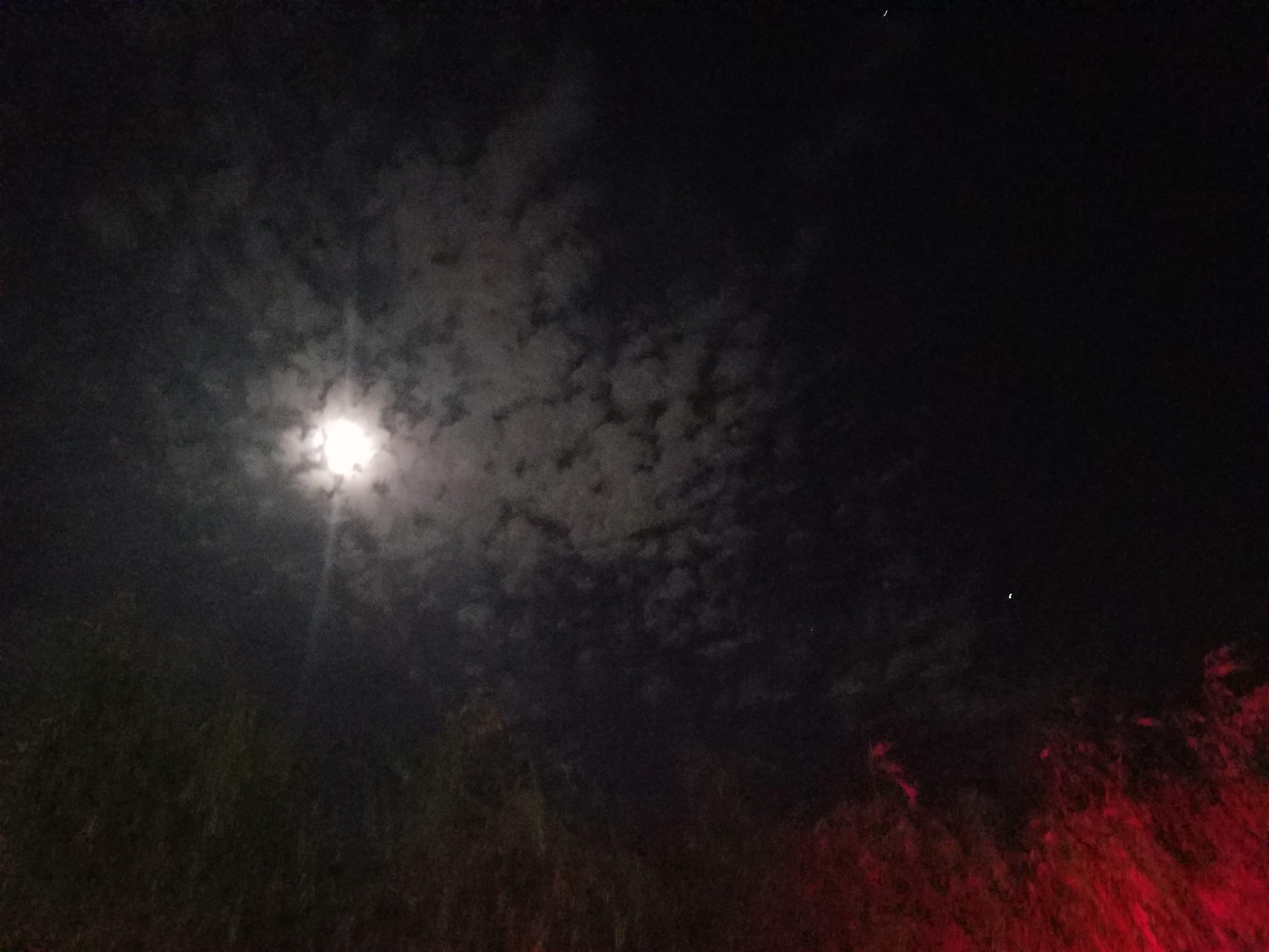 焚情封面