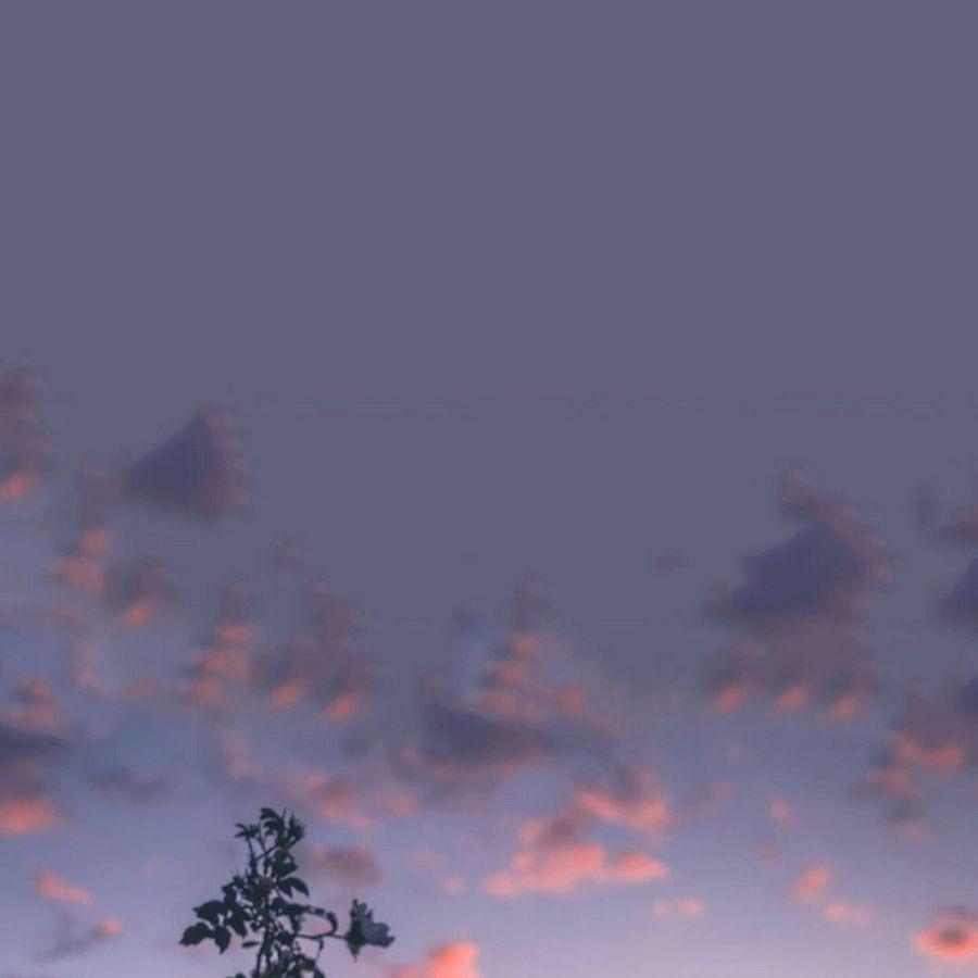 月光的夜色封面