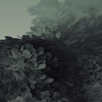 甲壳虫电波资料,甲壳虫电波最新歌曲,甲壳虫电波MV视频,甲壳虫电波音乐专辑,甲壳虫电波好听的歌