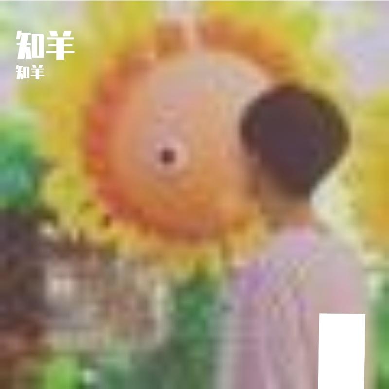 春日繁花里的轻快乐章封面