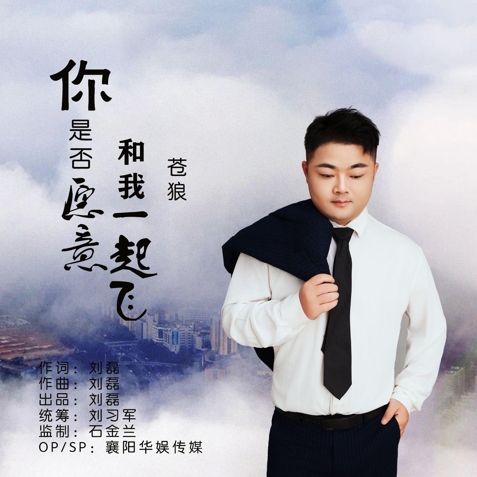 你是否愿意和我一起飞（DJ版）封面