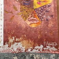 TARO资料,TARO最新歌曲,TAROMV视频,TARO音乐专辑,TARO好听的歌