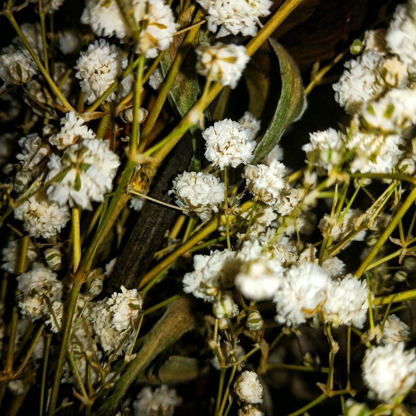 jazz-hiphop/chillhop无人声纯音乐