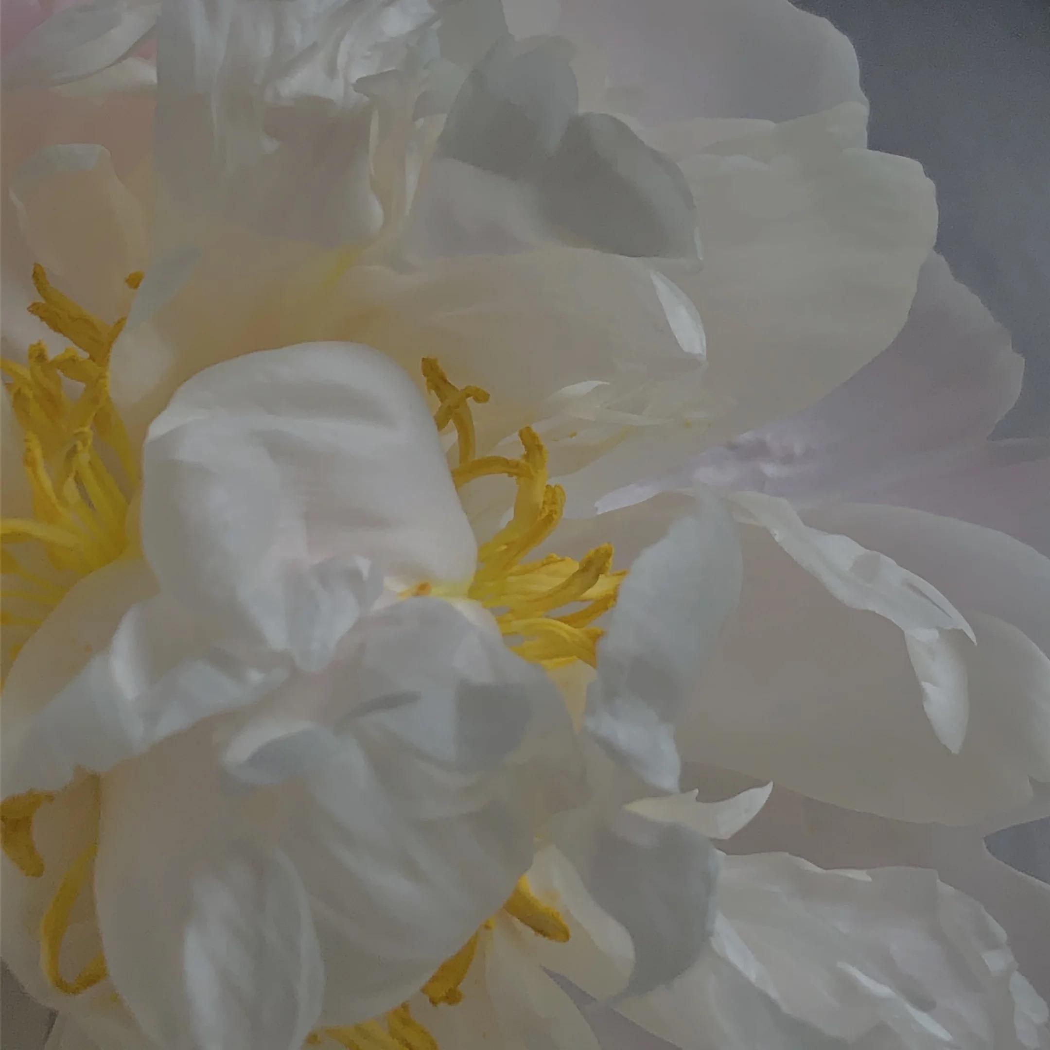 Колыбельная/Lullaby