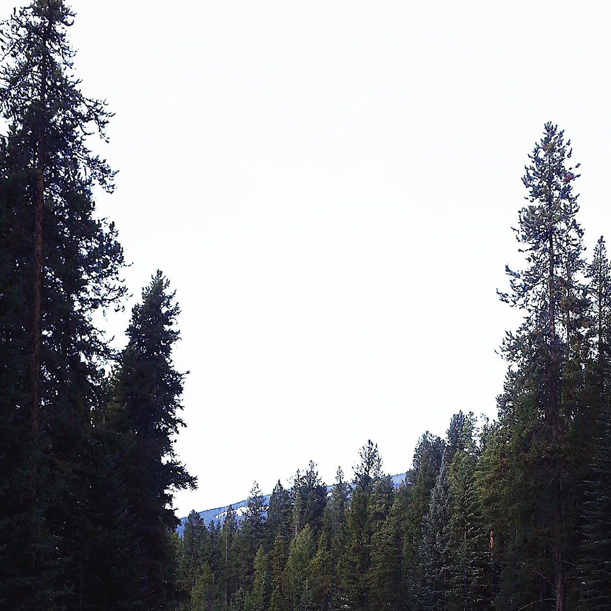 迪克牛仔-一样的月光(Vision of Le)（Tony·J remix）