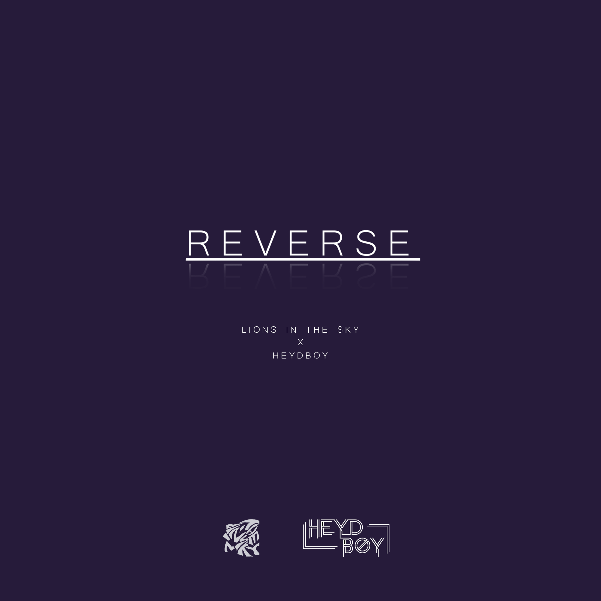 Heydboy-Reverse（LeoTAn Remix）