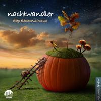 Nachtwandler, Vol. 7 - Deep Electronic House