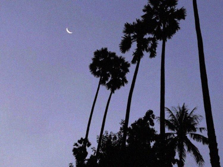 梦境探秘，梦见上厕所却是一片漆黑，寓意何在？