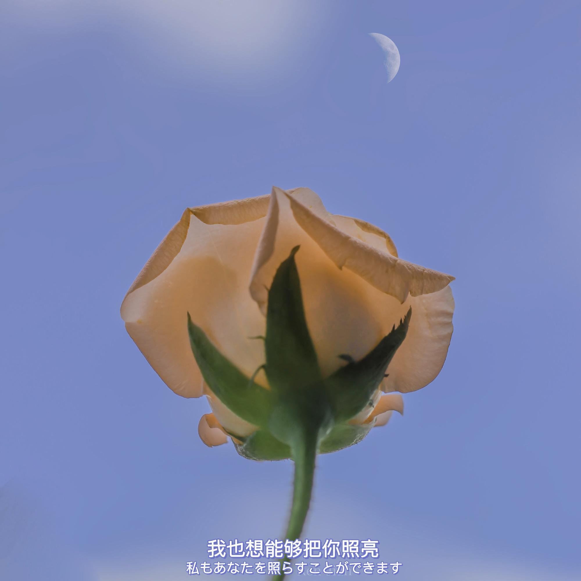 会不会封面