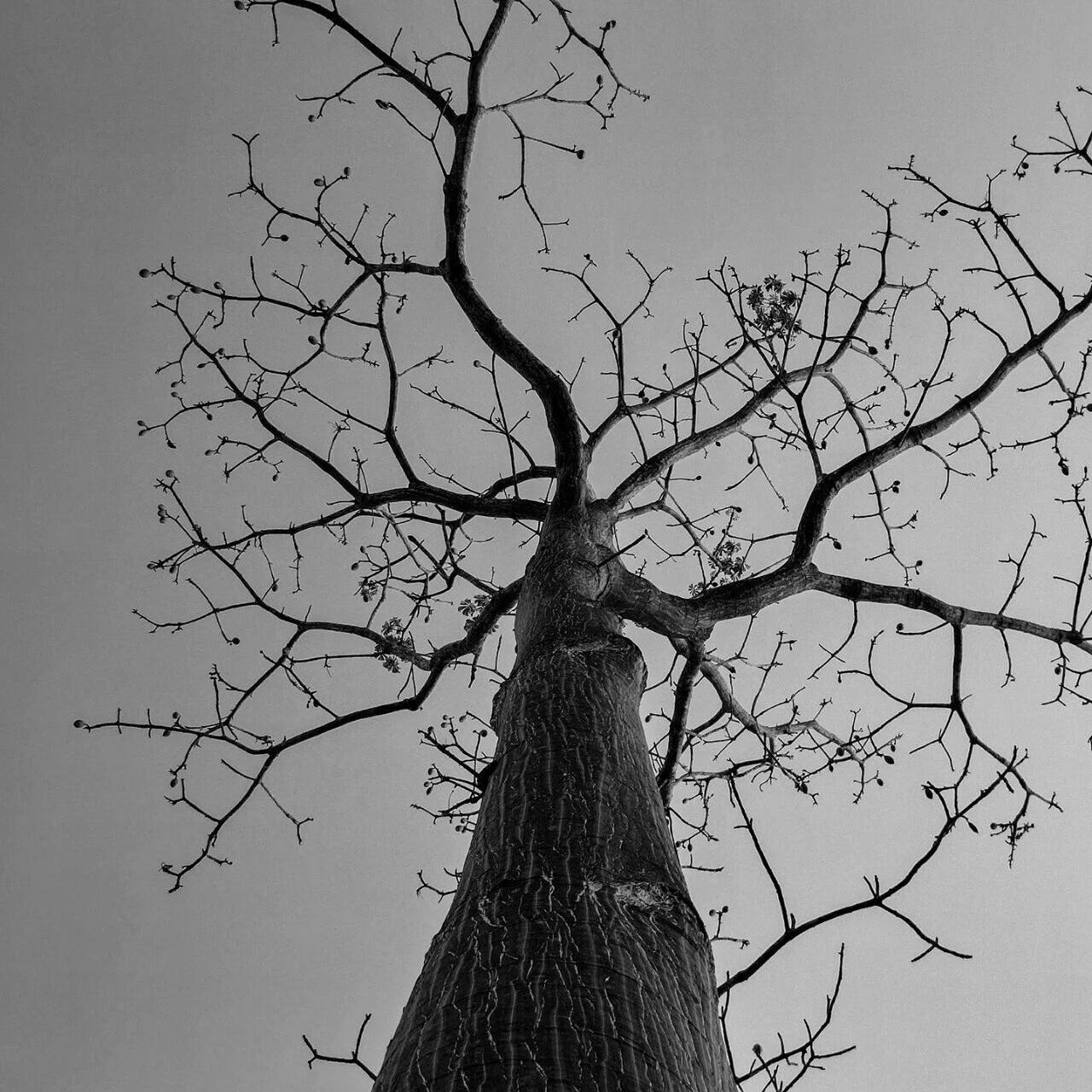 平静日子里的伤疤