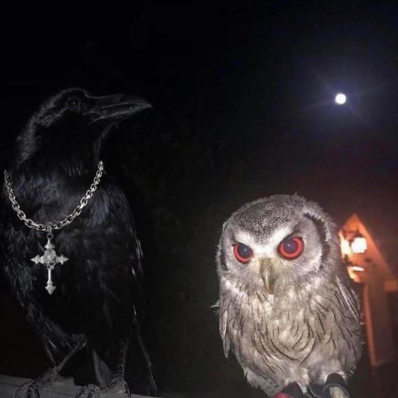 发牌（翻唱God.霜）