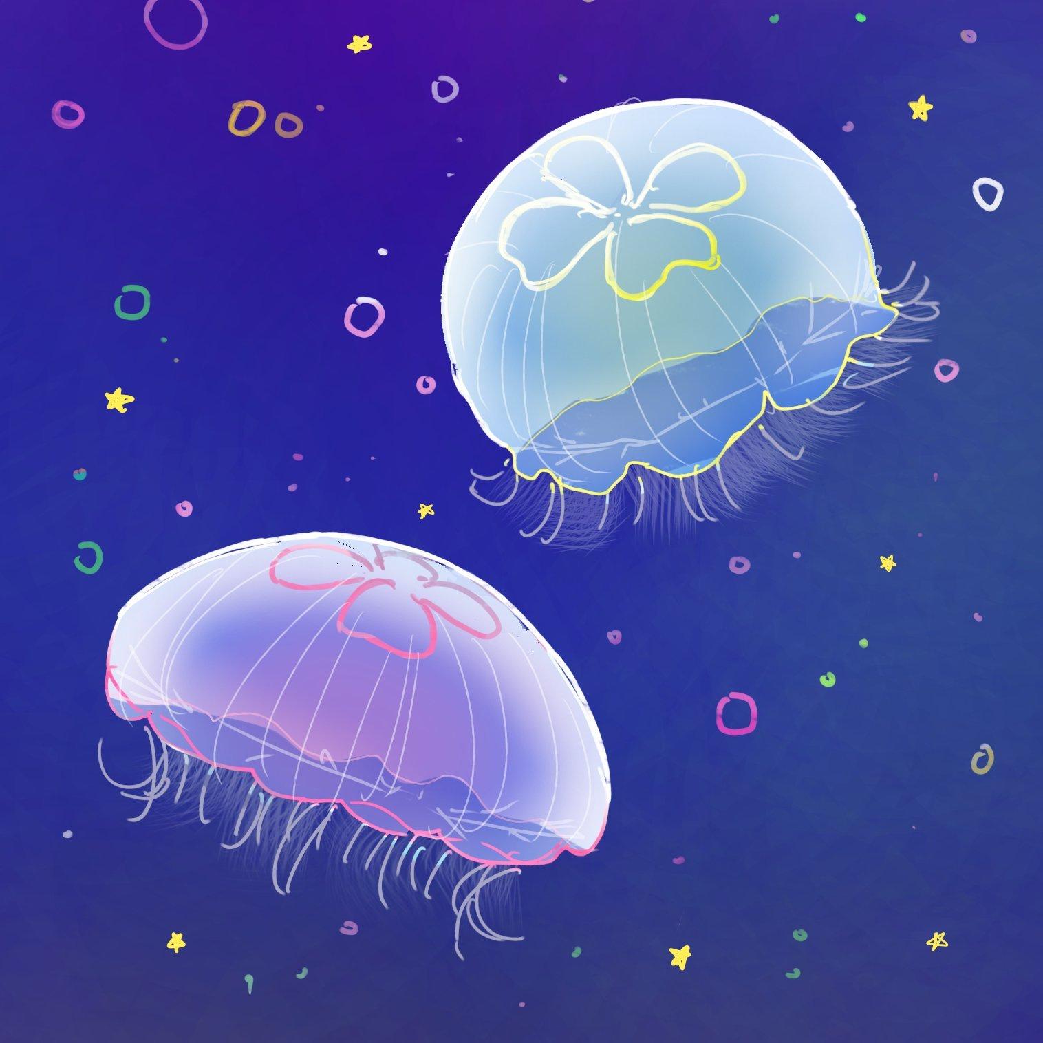 JELEE「夜のクラゲは泳げない」