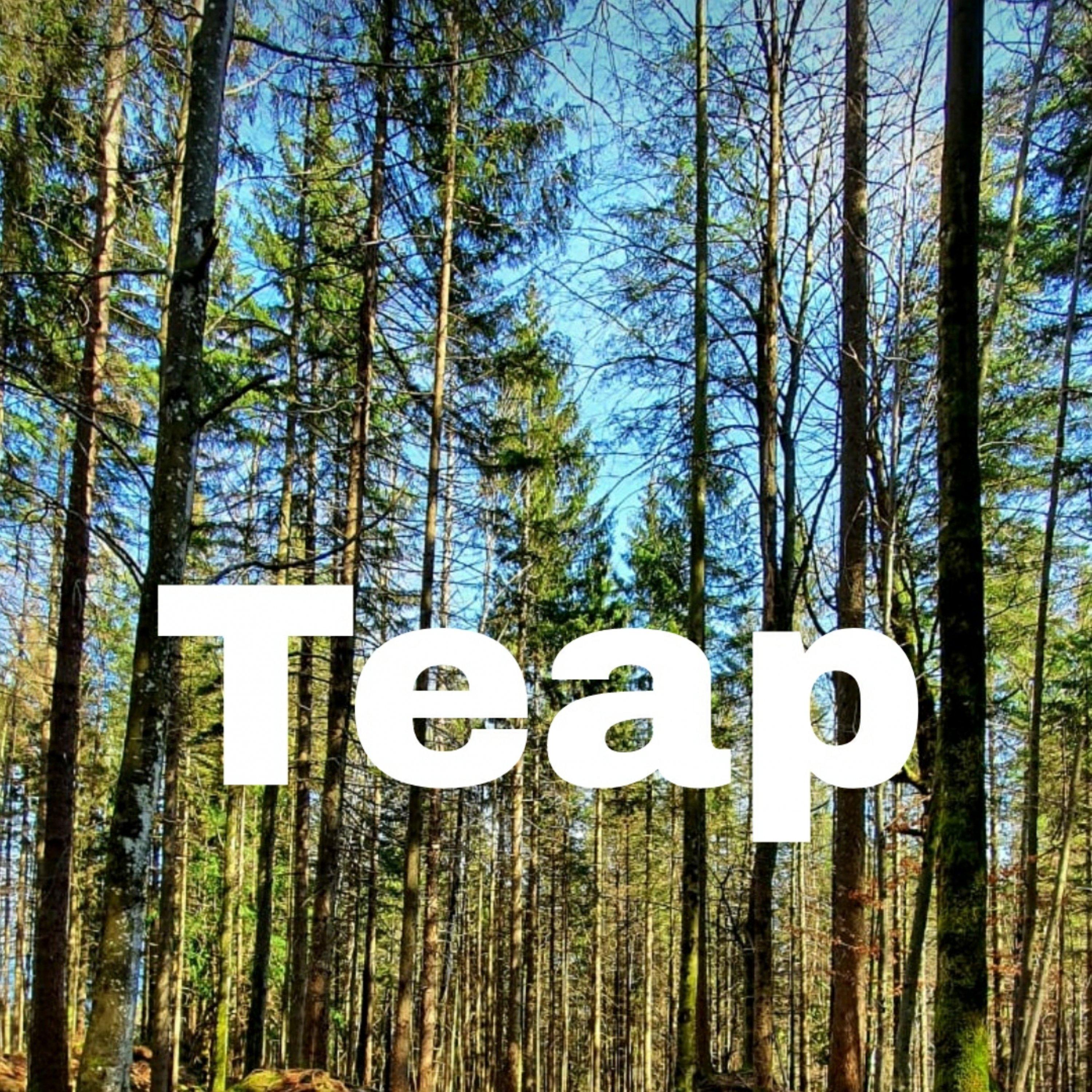 Teap