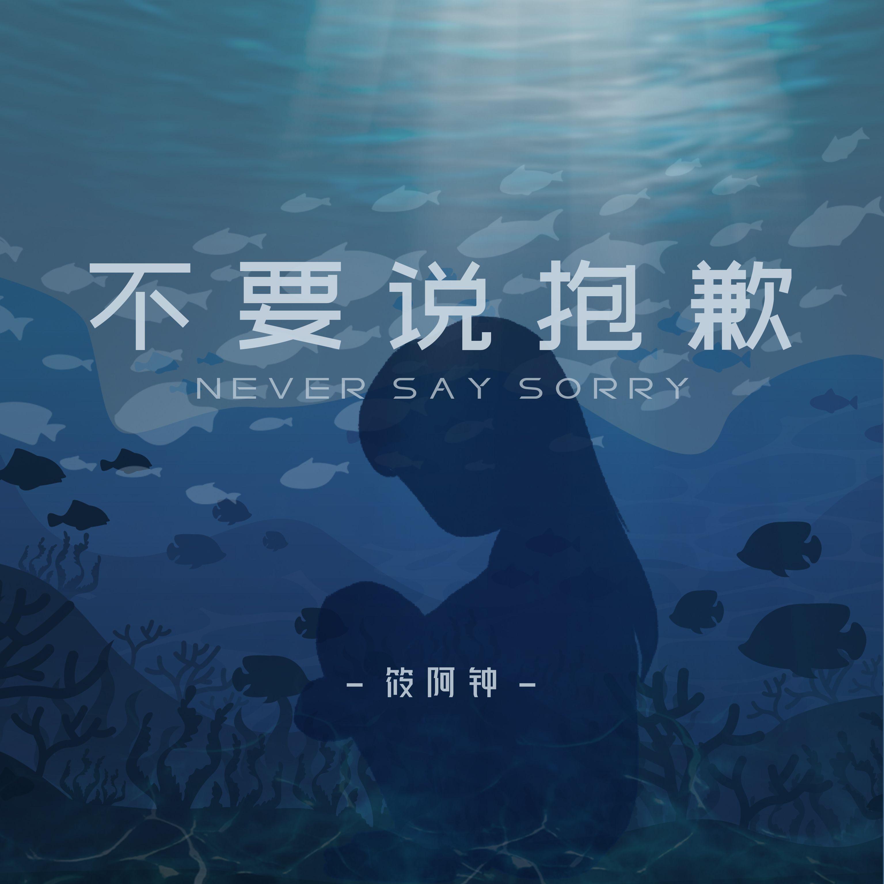 不要说抱歉封面