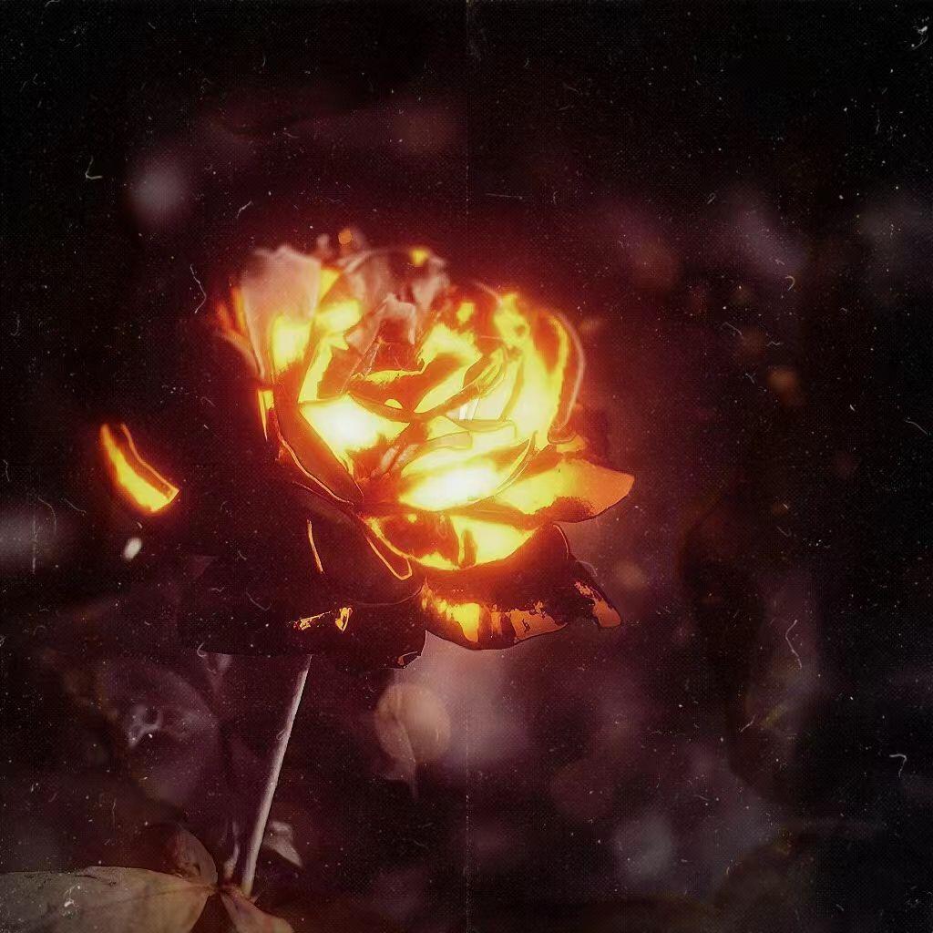 Sin（在我死后，他们开始爱我）