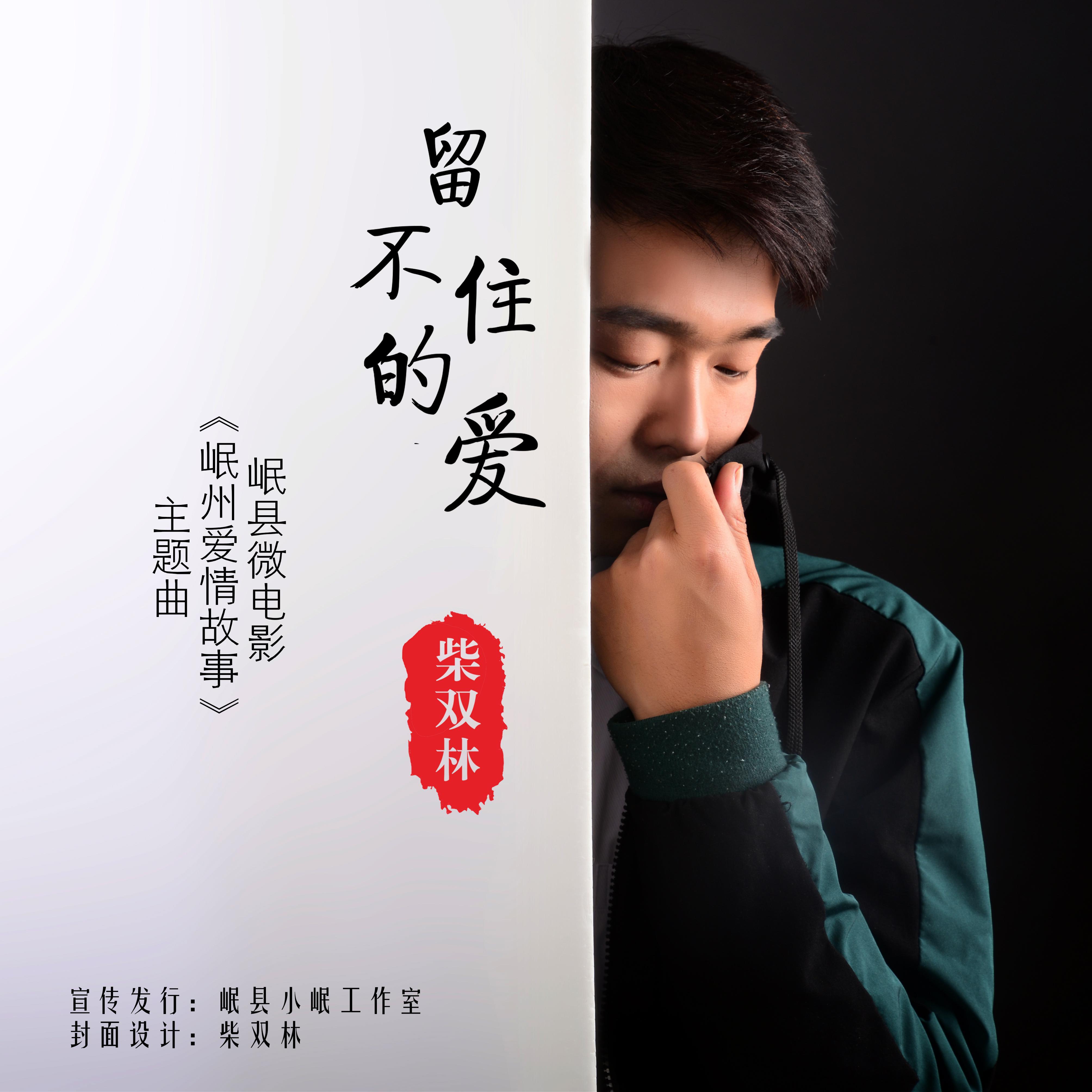 留不住的爱封面