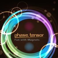 Phase Tensor