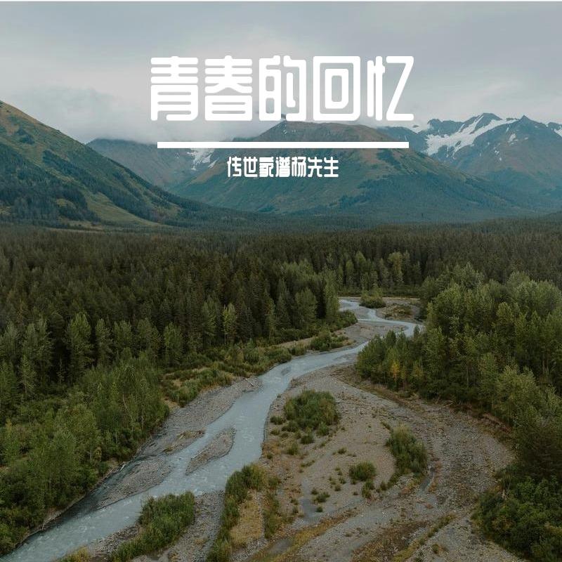 回不去的童年封面