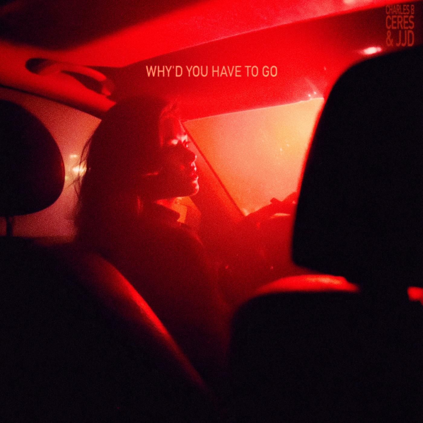 Why'd You Have To Go