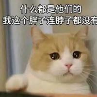 小小树耶