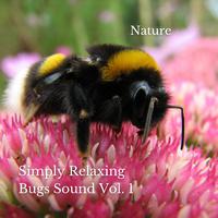 Nature: Simply Relaxing Bugs Sound Vol. 1