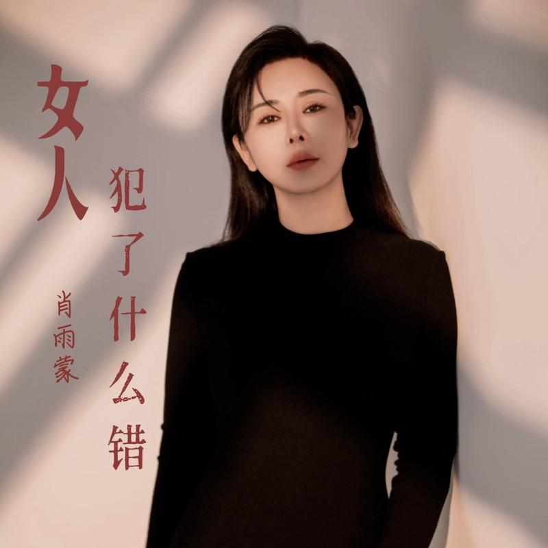 女人犯了什么错封面