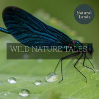 Wild Nature Tales