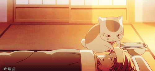 那么二次元的猫咪与三次元的猫咪有什么,提到二次元猫咪很多人会想到