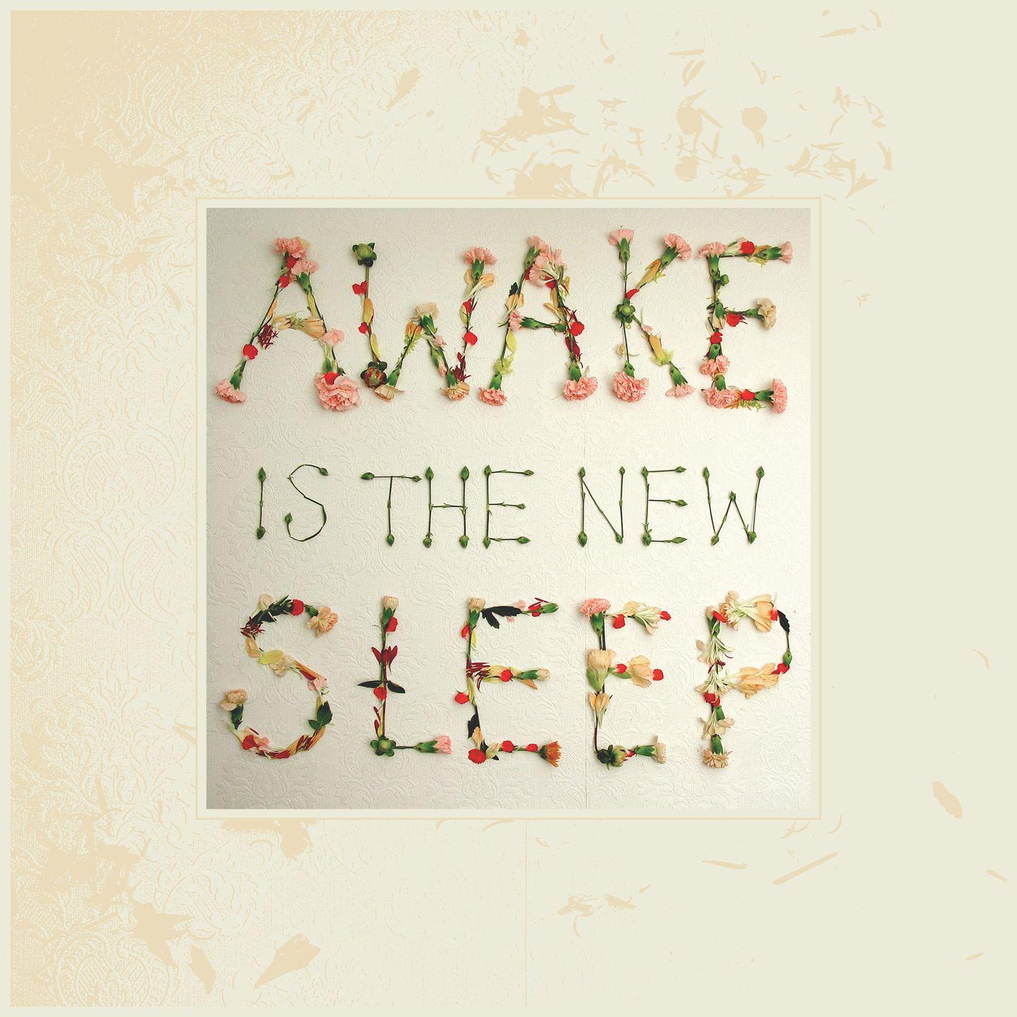 I'm Willing_Ben Lee_Awake Is the New Sleep: 10th Anniversary Deluxe Edition | 在线播放_I'm Willing歌词_I'm Willing下载 | 网易云音乐