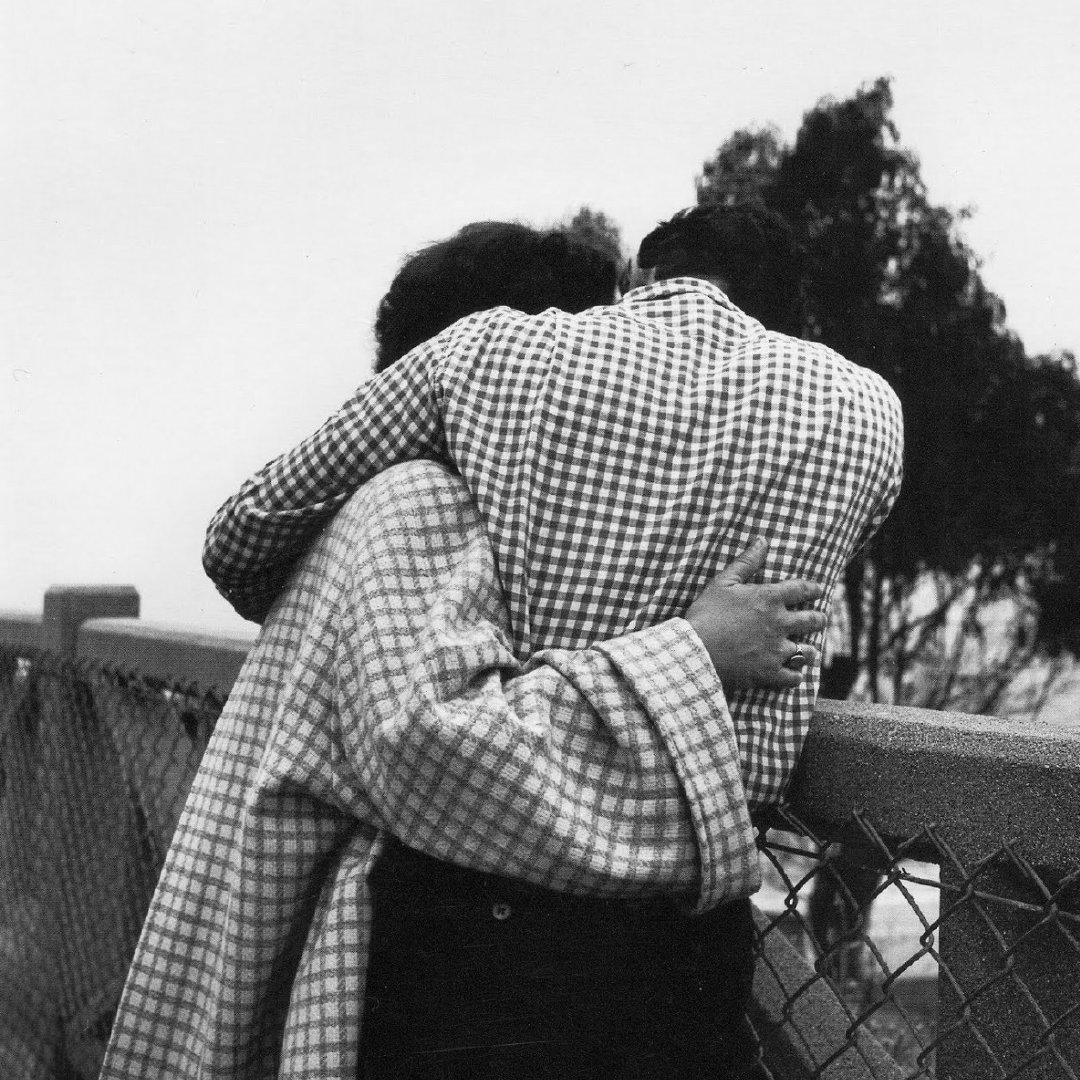 陷落温柔又哀伤的网