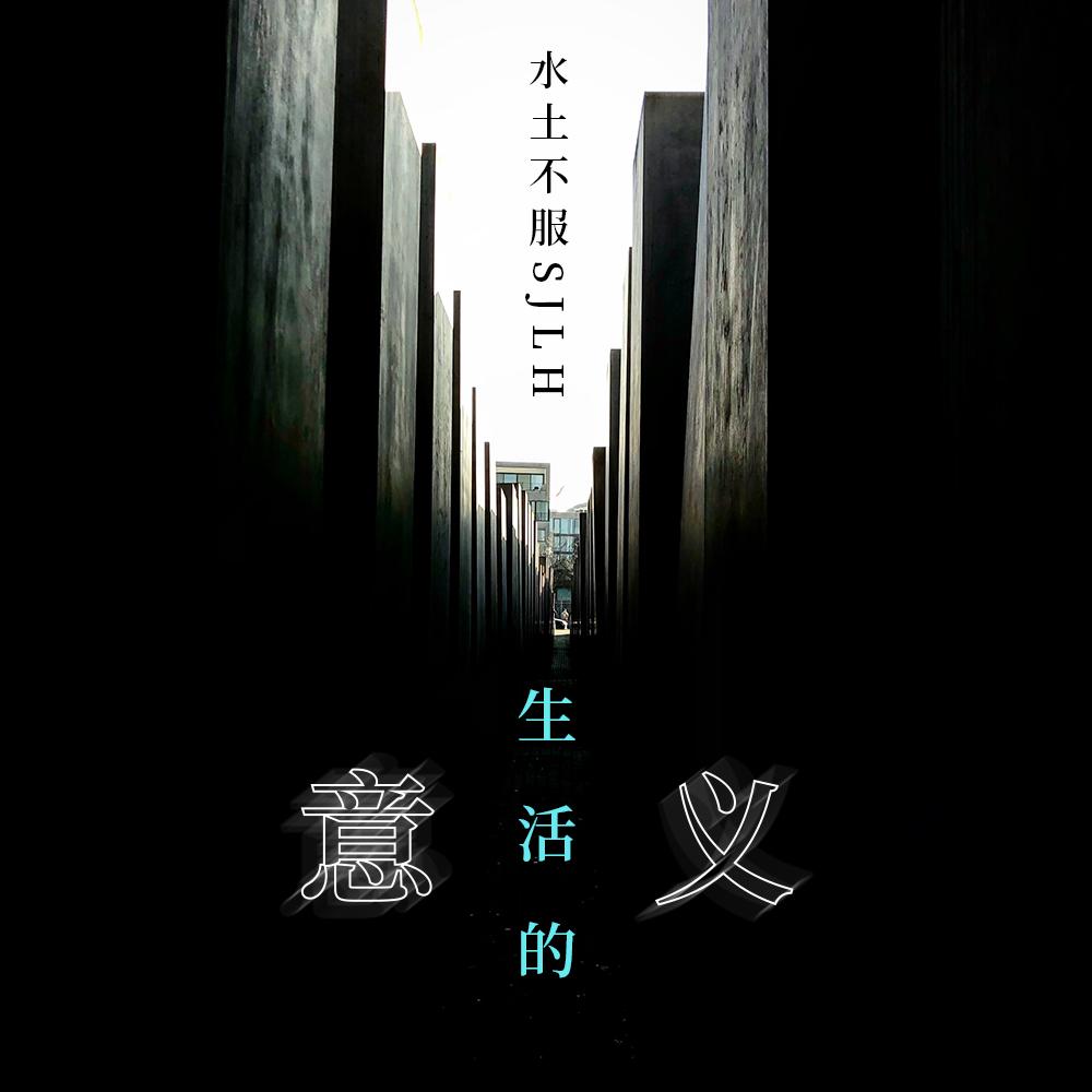 迟钝国王封面