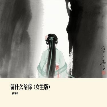 留什么给你  (女生版)(Cover 向思思)封面