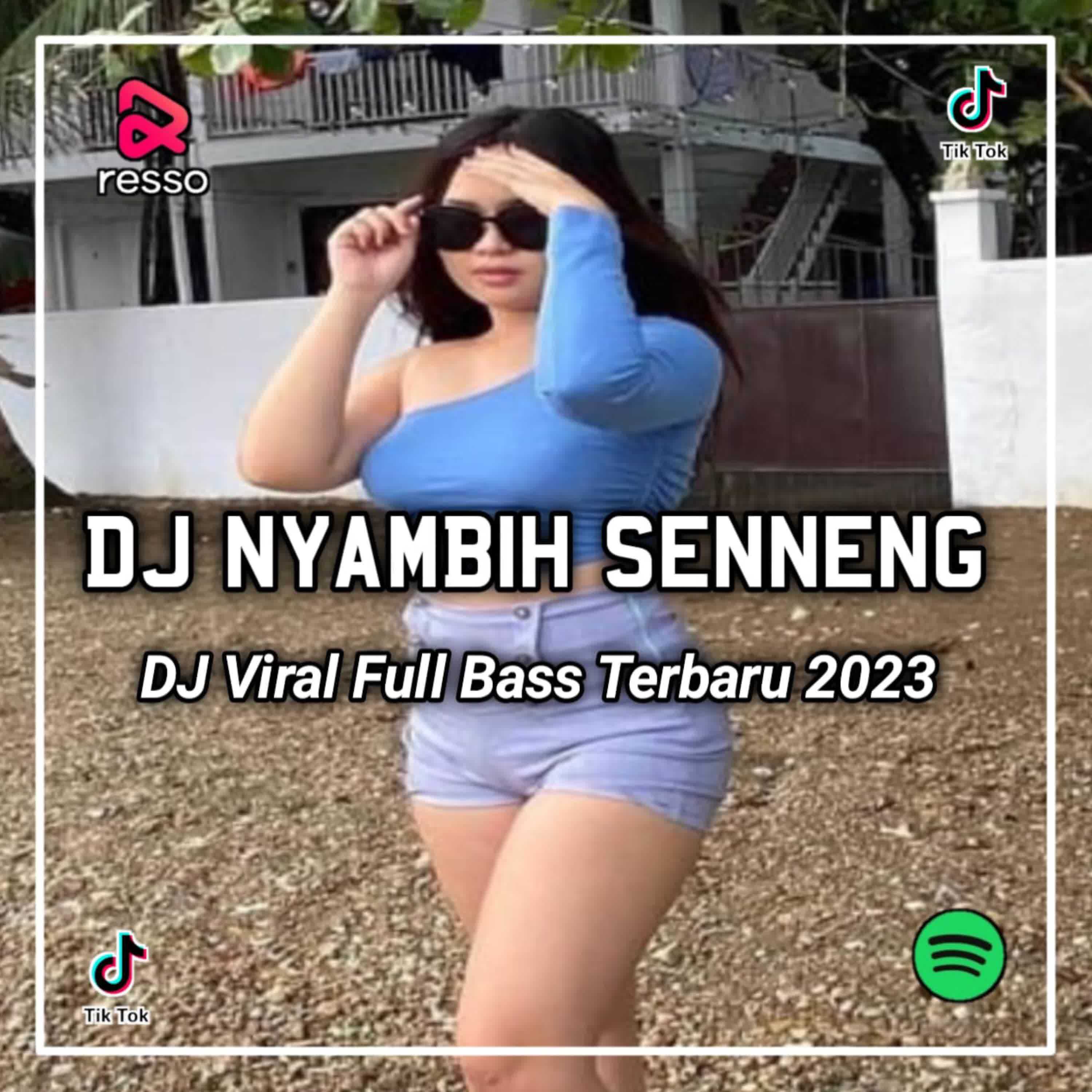 DJ Senne (Instrumen)