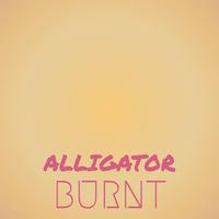 Alligator Burnt