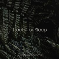 Tracks for Sleep