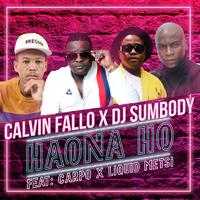 Haona Ho (feat. DJ Sumbody, Liquid Metsi & Carpo)