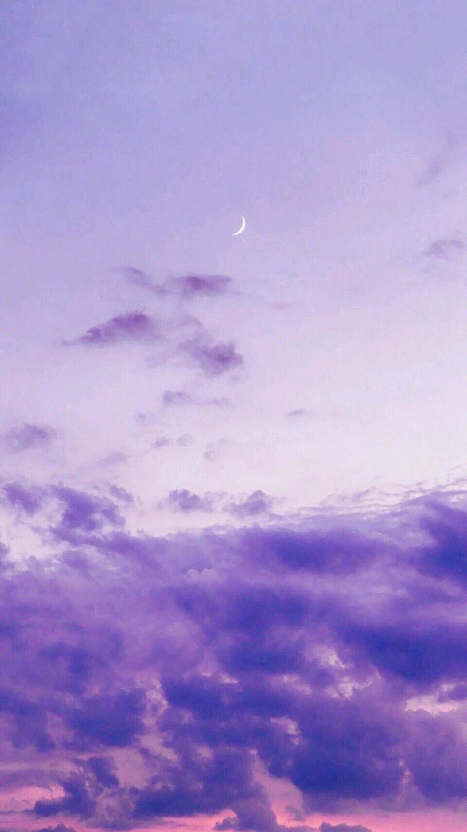 四重罪孽 ft.花黏黏&苏南音&酸奶