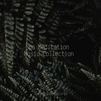 Spa Meditation Music Collection