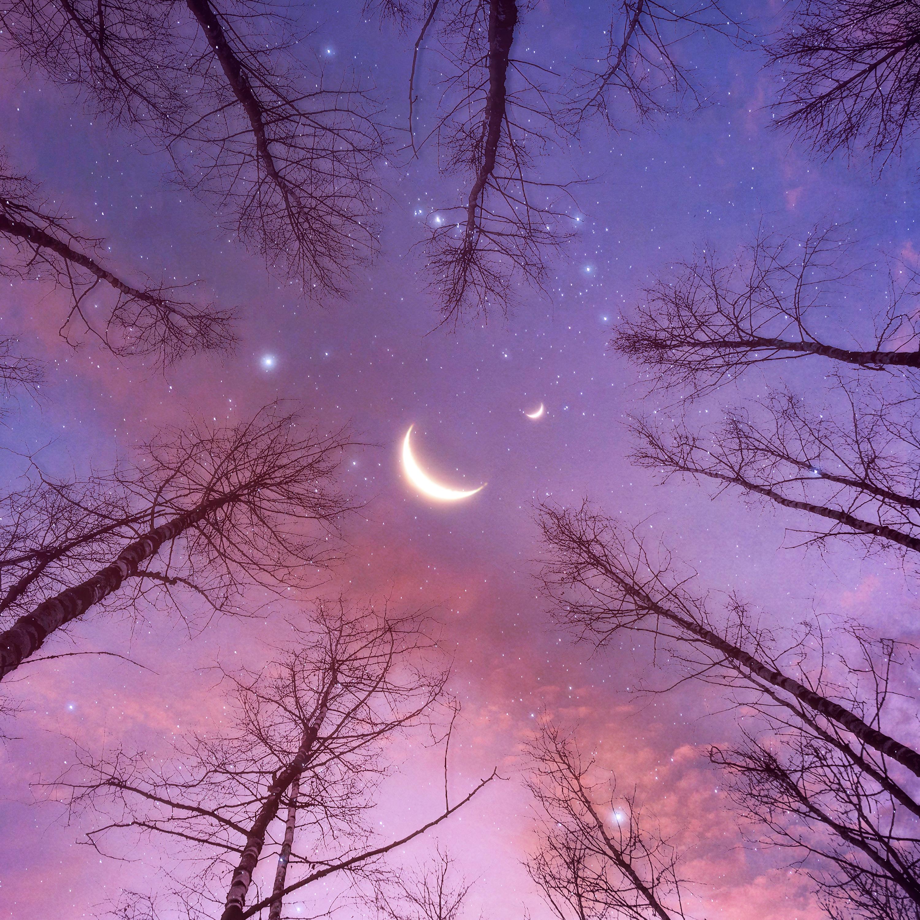 Majestic (Soundbath I)