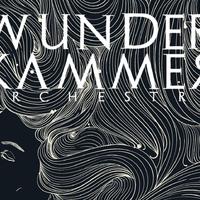 Wunderkammer Orchestra