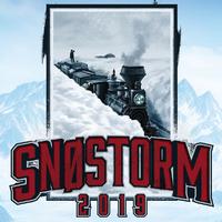 Snøstorm (2019)