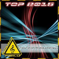 Top 2015 Electro